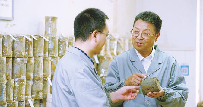 三新赋能 三小聚变——陕西省企业